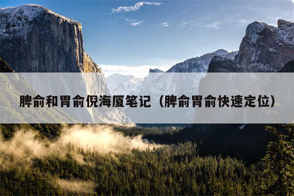 脾俞和胃俞倪海厦笔记（脾俞胃俞快速定位）