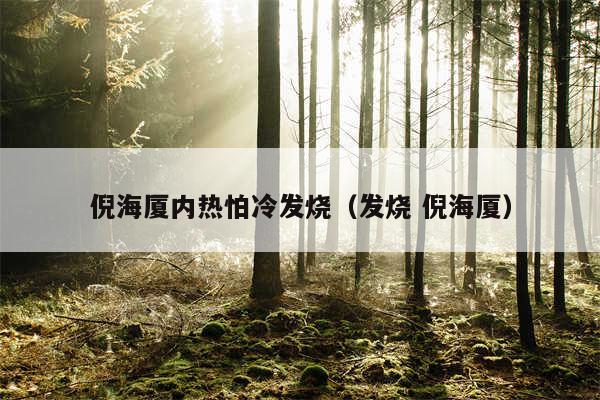 倪海厦内热怕冷发烧（发烧 倪海厦）
