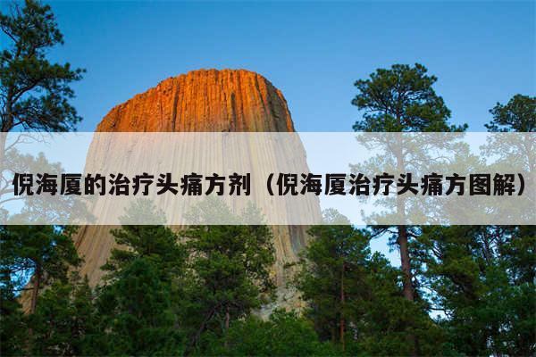 倪海厦的治疗头痛方剂（倪海厦治疗头痛方图解）
