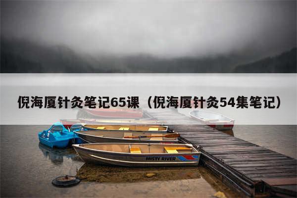 倪海厦针灸笔记65课（倪海厦针灸54集笔记）