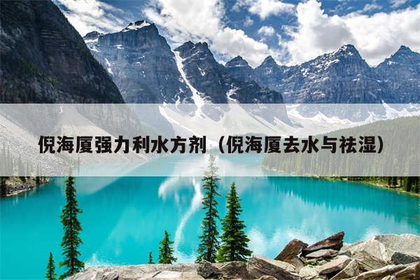 倪海厦强力利水方剂（倪海厦去水与祛湿）