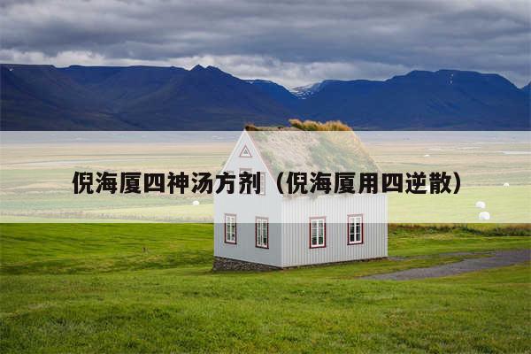 倪海厦四神汤方剂（倪海厦用四逆散）