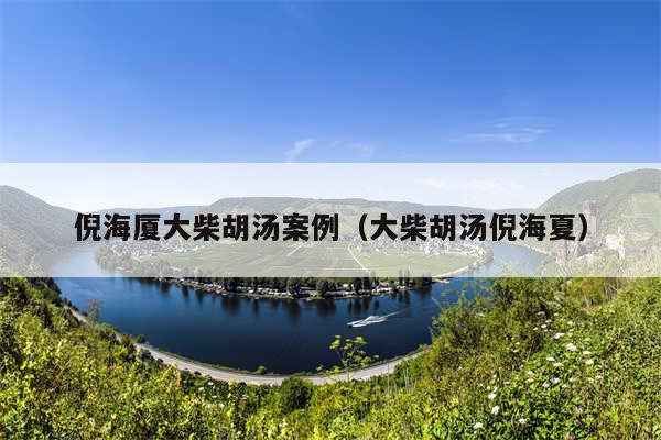 倪海厦大柴胡汤案例（大柴胡汤倪海夏）