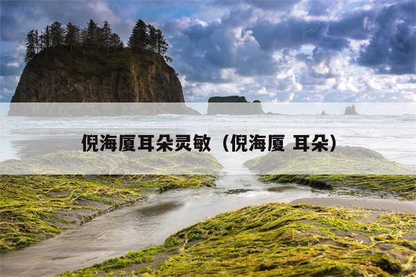 倪海厦耳朵灵敏（倪海厦 耳朵）