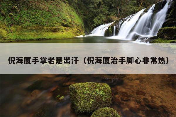倪海厦手掌老是出汗（倪海厦治手脚心非常热）