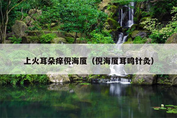 上火耳朵痒倪海厦（倪海厦耳鸣针灸）