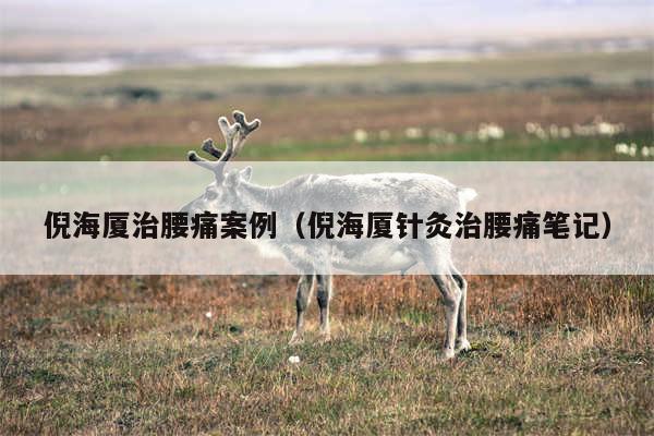 倪海厦治腰痛案例（倪海厦针灸治腰痛笔记）