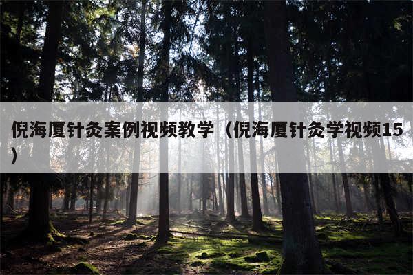 倪海厦针灸案例视频教学（倪海厦针灸学视频15）