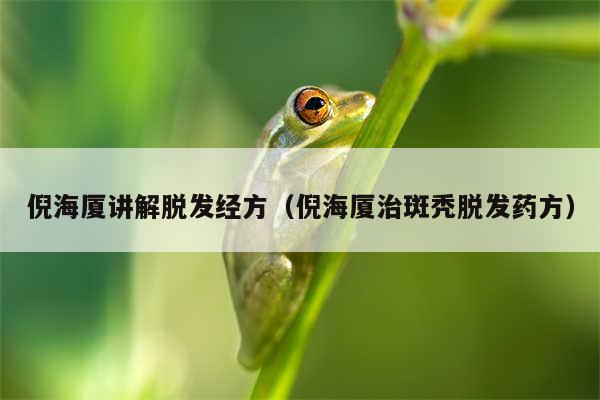倪海厦讲解脱发经方（倪海厦治斑秃脱发药方）