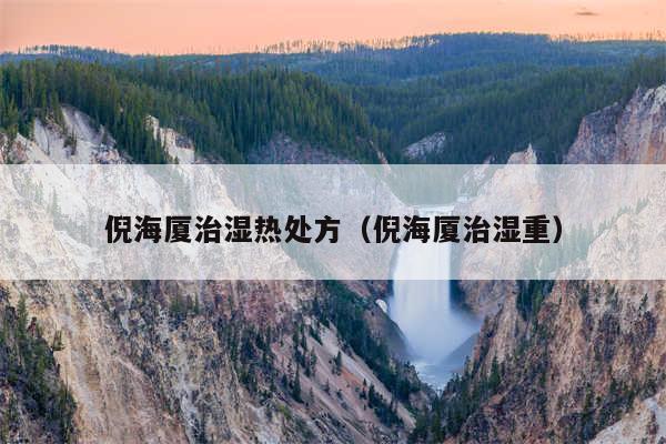 倪海厦治湿热处方（倪海厦治湿重）