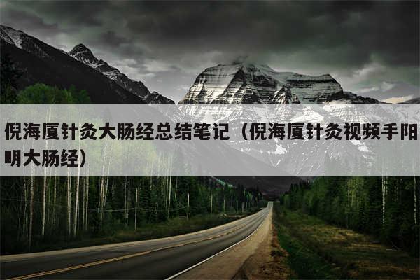 倪海厦针灸大肠经总结笔记（倪海厦针灸视频手阳明大肠经）