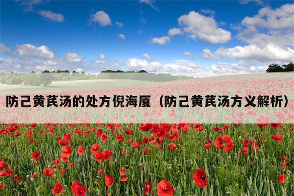 防己黄芪汤的处方倪海厦（防己黄芪汤方义解析）