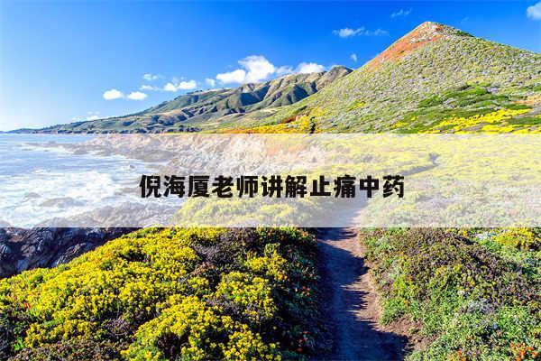 倪海厦老师讲解止痛中药