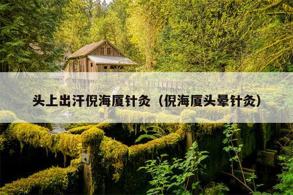 头上出汗倪海厦针灸（倪海厦头晕针灸）