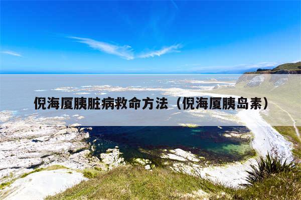 倪海厦胰脏病救命方法（倪海厦胰岛素）