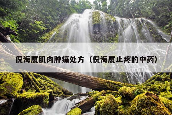 倪海厦肌肉肿痛处方（倪海厦止疼的中药）