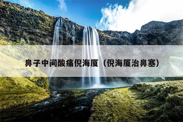 鼻子中间酸痛倪海厦（倪海厦治鼻塞）