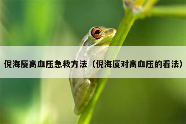 倪海厦高血压急救方法（倪海厦对高血压的看法）