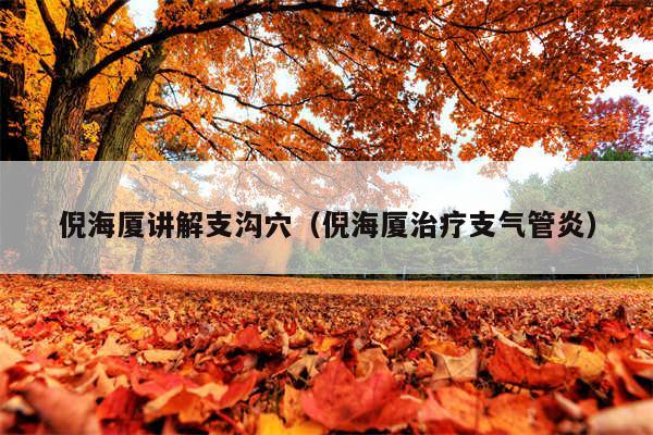 倪海厦讲解支沟穴（倪海厦治疗支气管炎）