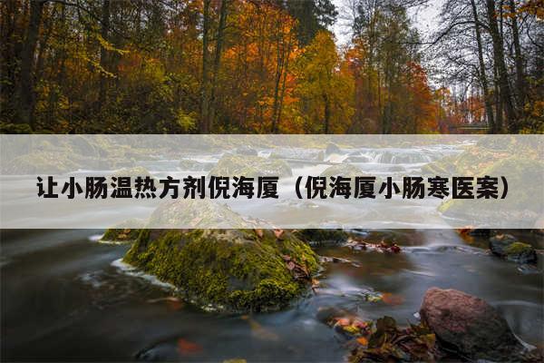 让小肠温热方剂倪海厦（倪海厦小肠寒医案）