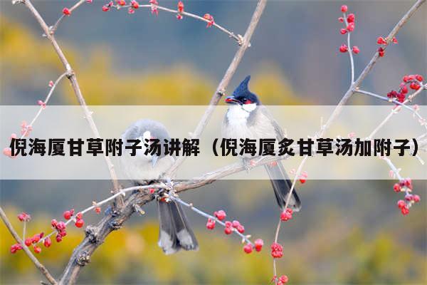 倪海厦甘草附子汤讲解（倪海厦炙甘草汤加附子）