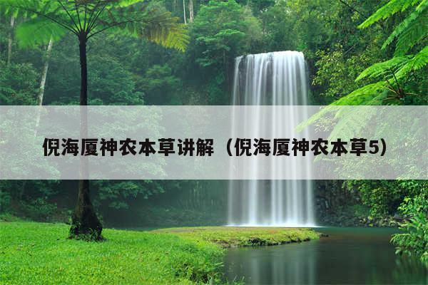 倪海厦神农本草讲解（倪海厦神农本草5）