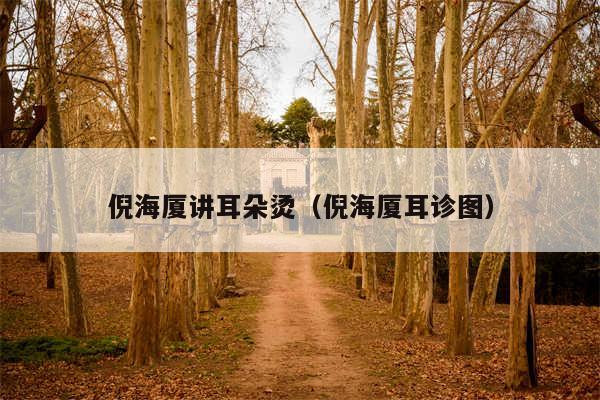 倪海厦讲耳朵烫（倪海厦耳诊图）