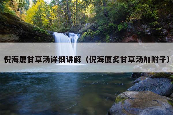 倪海厦甘草汤详细讲解（倪海厦炙甘草汤加附子）