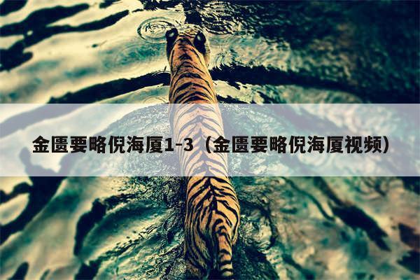 金匮要略倪海厦1-3（金匮要略倪海厦视频）