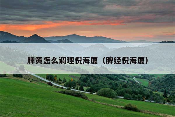 脾黄怎么调理倪海厦（脾经倪海厦）