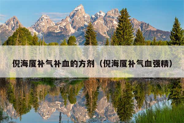 倪海厦补气补血的方剂（倪海厦补气血强精）