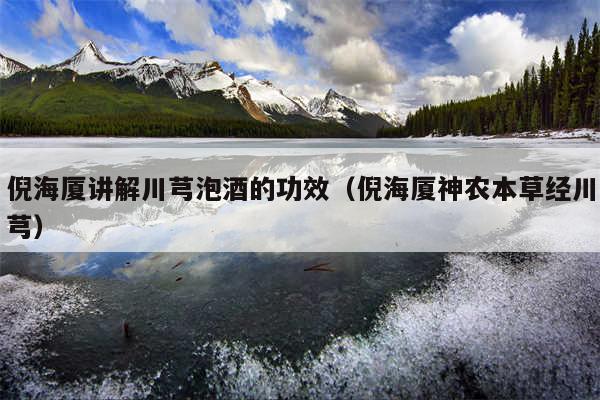 倪海厦讲解川芎泡酒的功效（倪海厦神农本草经川芎）