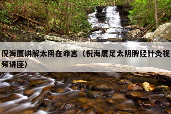 倪海厦讲解太阴在命宫（倪海厦足太阴脾经针灸视频讲座）