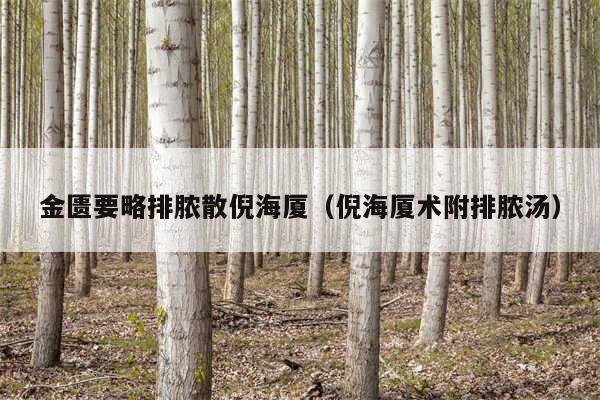 金匮要略排脓散倪海厦（倪海厦术附排脓汤）