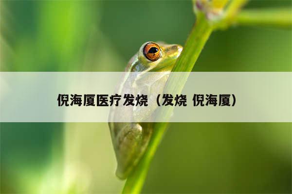 倪海厦医疗发烧（发烧 倪海厦）