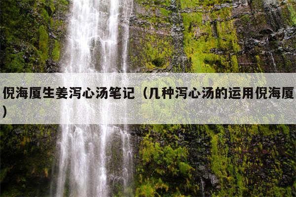 倪海厦生姜泻心汤笔记（几种泻心汤的运用倪海厦）