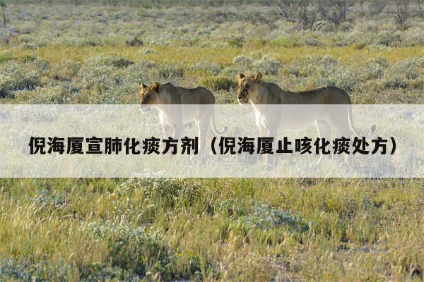 倪海厦宣肺化痰方剂（倪海厦止咳化痰处方）