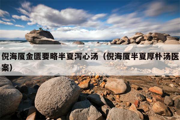 倪海厦金匮要略半夏泻心汤（倪海厦半夏厚朴汤医案）