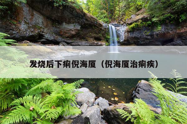 发烧后下痢倪海厦（倪海厦治痢疾）
