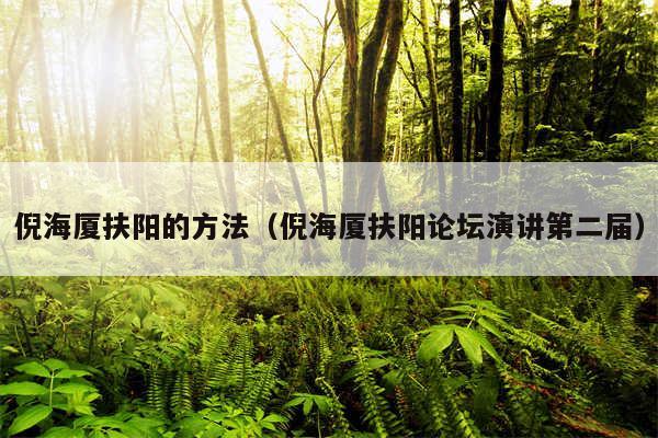 倪海厦扶阳的方法（倪海厦扶阳论坛演讲第二届）