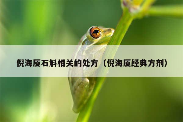 倪海厦石斛相关的处方（倪海厦经典方剂）