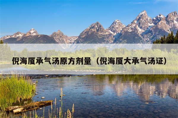 倪海厦承气汤原方剂量（倪海厦大承气汤证）