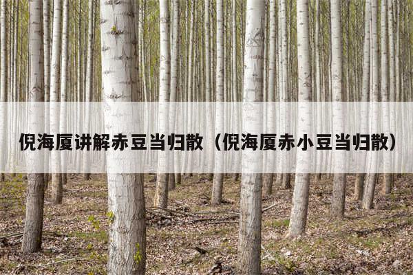 倪海厦讲解赤豆当归散（倪海厦赤小豆当归散）