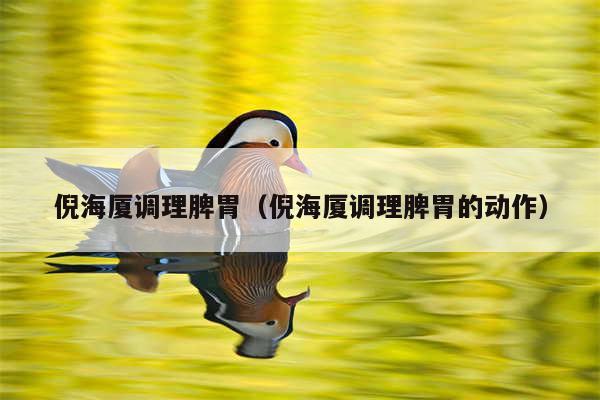 倪海厦调理脾胃（倪海厦调理脾胃的动作）