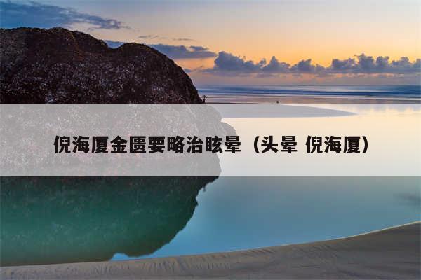 倪海厦金匮要略治眩晕（头晕 倪海厦）