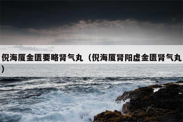 倪海厦金匮要略肾气丸（倪海厦肾阳虚金匮肾气丸）