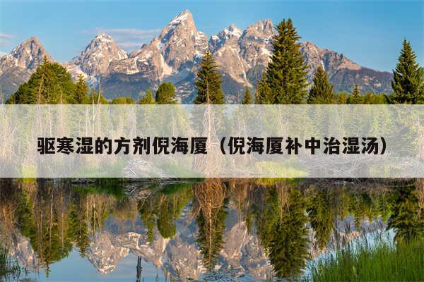 驱寒湿的方剂倪海厦（倪海厦补中治湿汤）