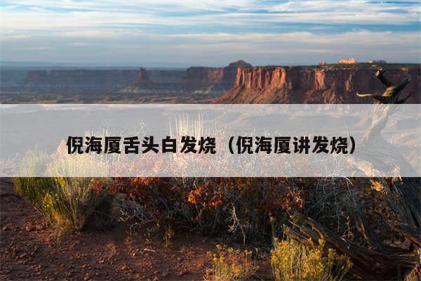 倪海厦舌头白发烧（倪海厦讲发烧）