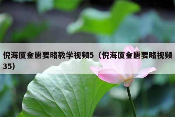倪海厦金匮要略教学视频5（倪海厦金匮要略视频35）