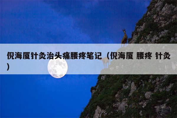 倪海厦针灸治头痛腰疼笔记（倪海厦 腰疼 针灸）